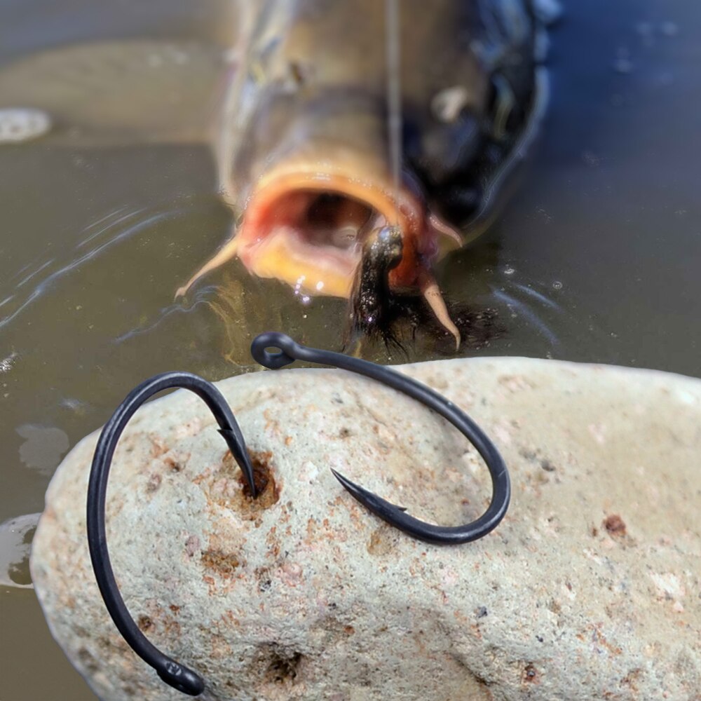 Hirisi ami da pesca alla carpa - Fishing Hook Assortment recensione e prezzo